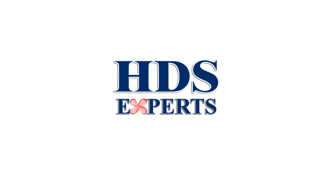 HDS Experts Logo