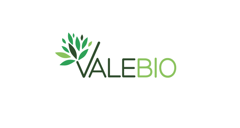 Valebio Logo