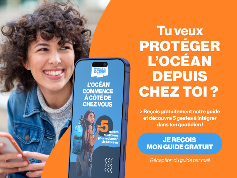 Guide pour protéger l'océan près de chez toi