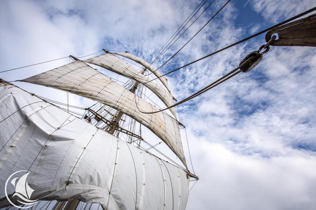 Les voiles d'un voilier : Zoom sur le Kraken