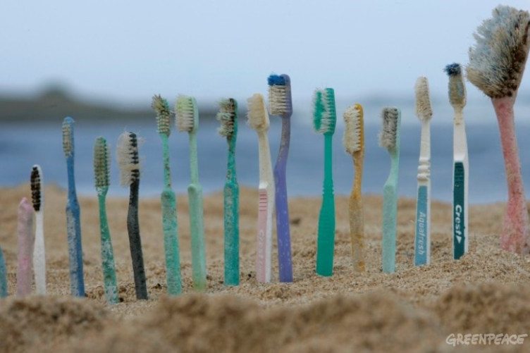 La brosse à dents, quelles alternatives au plastique ?