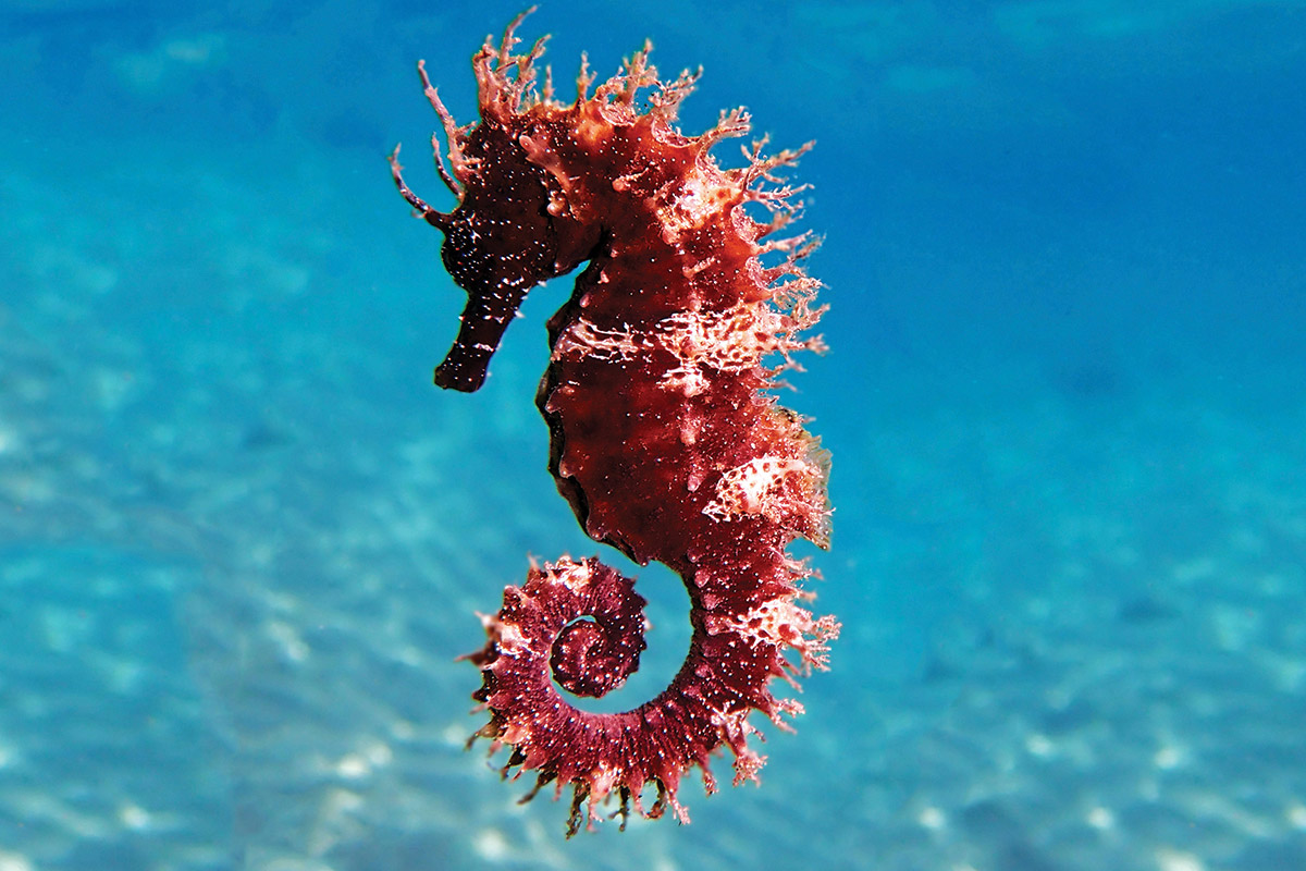 Cap sur le bassin d'Arcachon