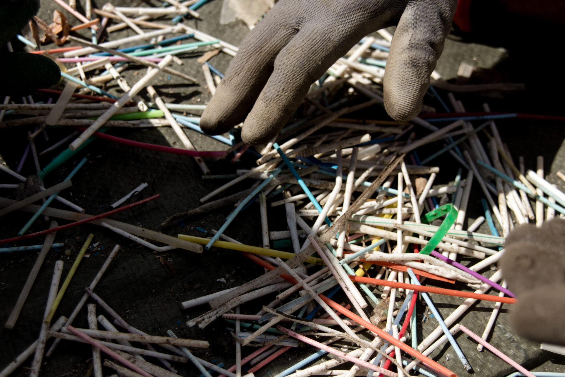 Science participative