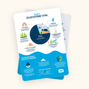 Océan : écosystème vital