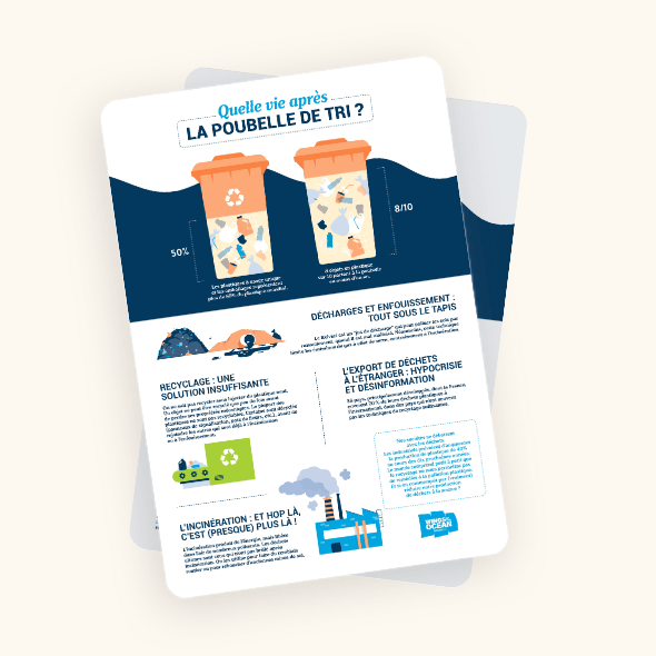 Quelle vie après la poubelle de tri ?