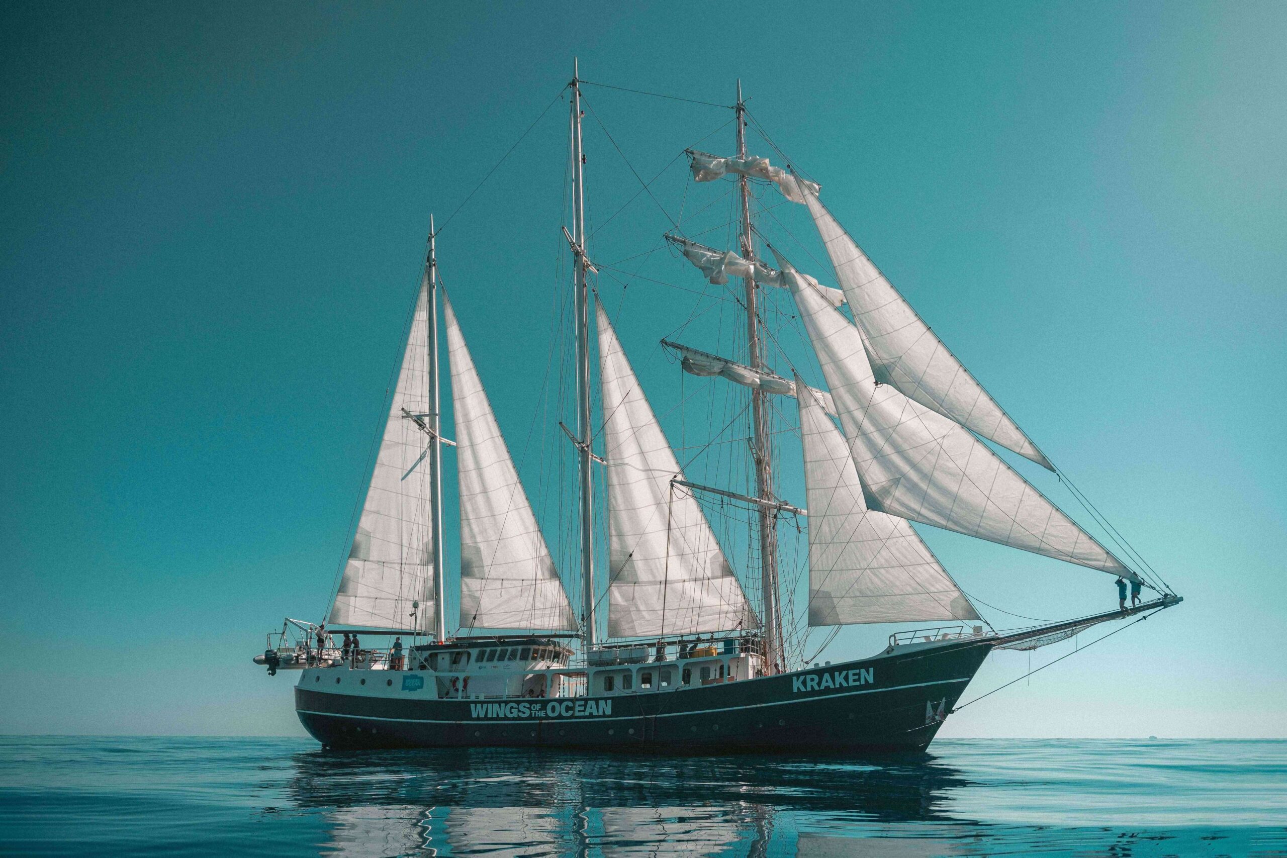 Le Kraken au programme de visite des Journées Européennes du Patrimoine