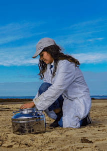 canopé wings of the ocean