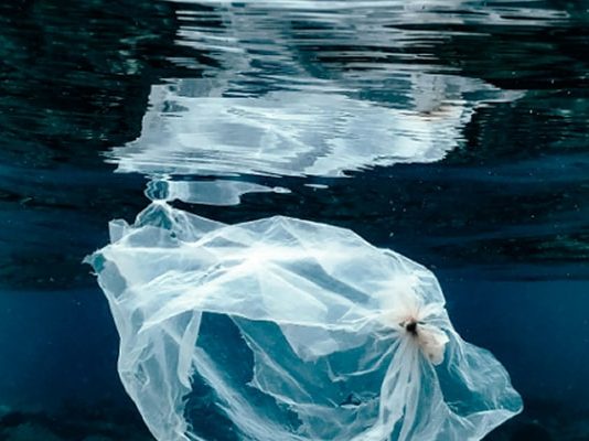 Ciné-débat autour du documentaire BERR(K)E et expo photos