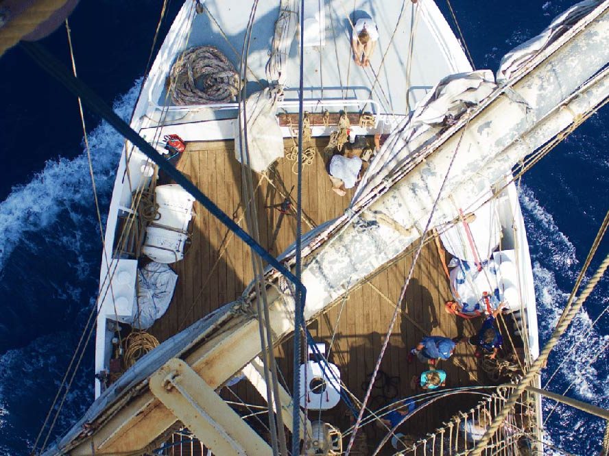 Du 4 au 22 août : Visites du Kraken à Sète