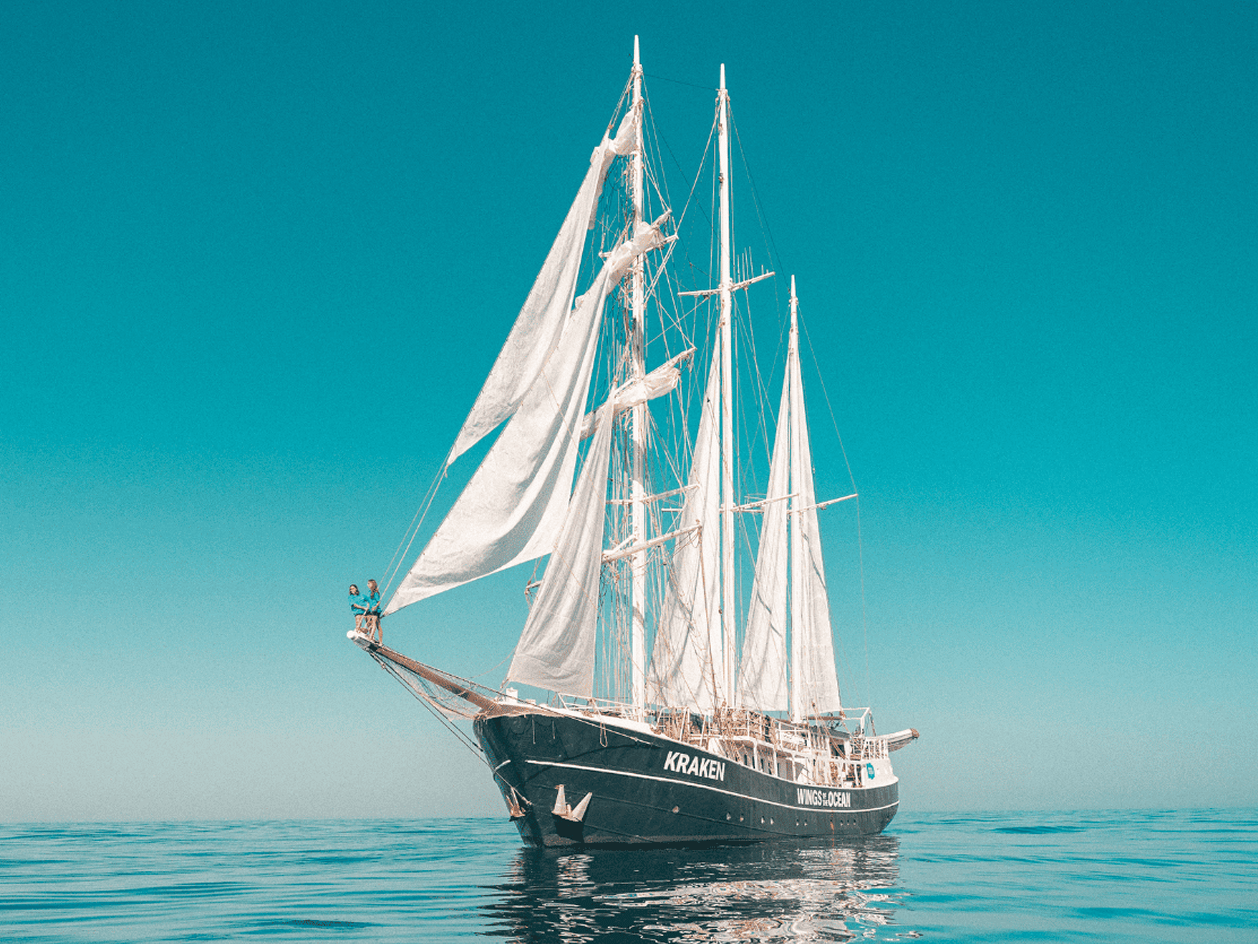 Le Kraken