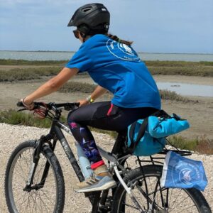 mobilite douce wings of the ocean