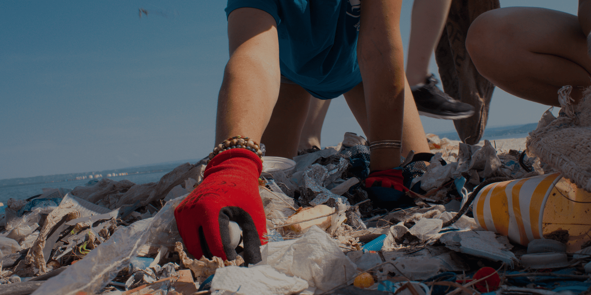 wings of the ocean ramassage