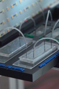 Eliminator Wings of the Ocean