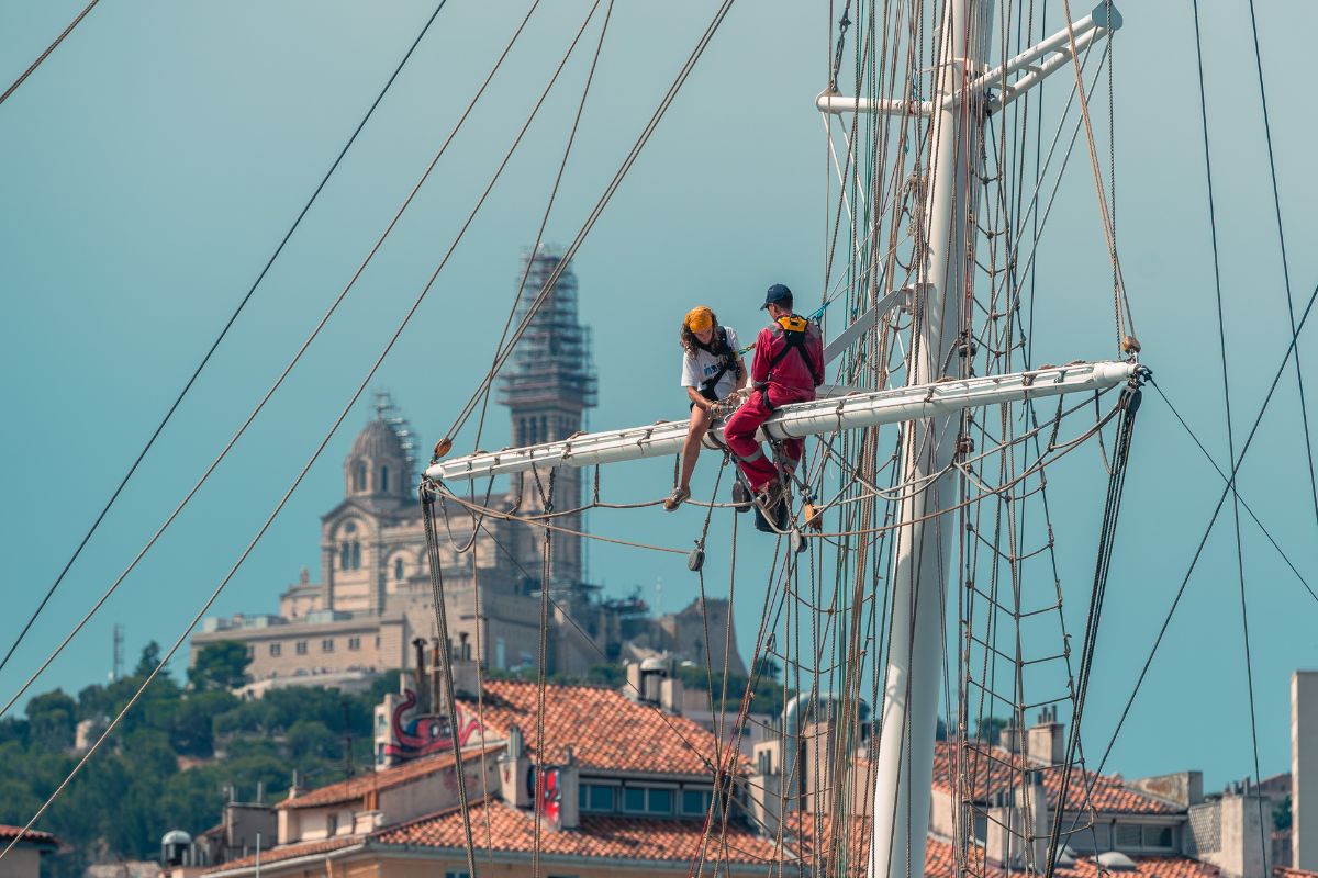 Devenir Marin Wings of the Ocean (10)