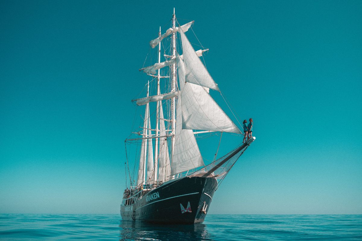 Devenir Marin Wings of the Ocean (11)