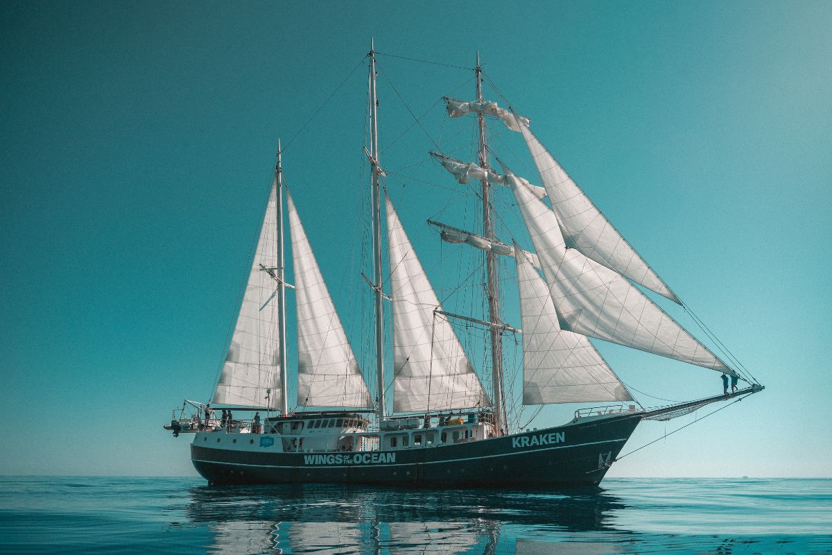 Devenir Marin Wings of the Ocean (2)