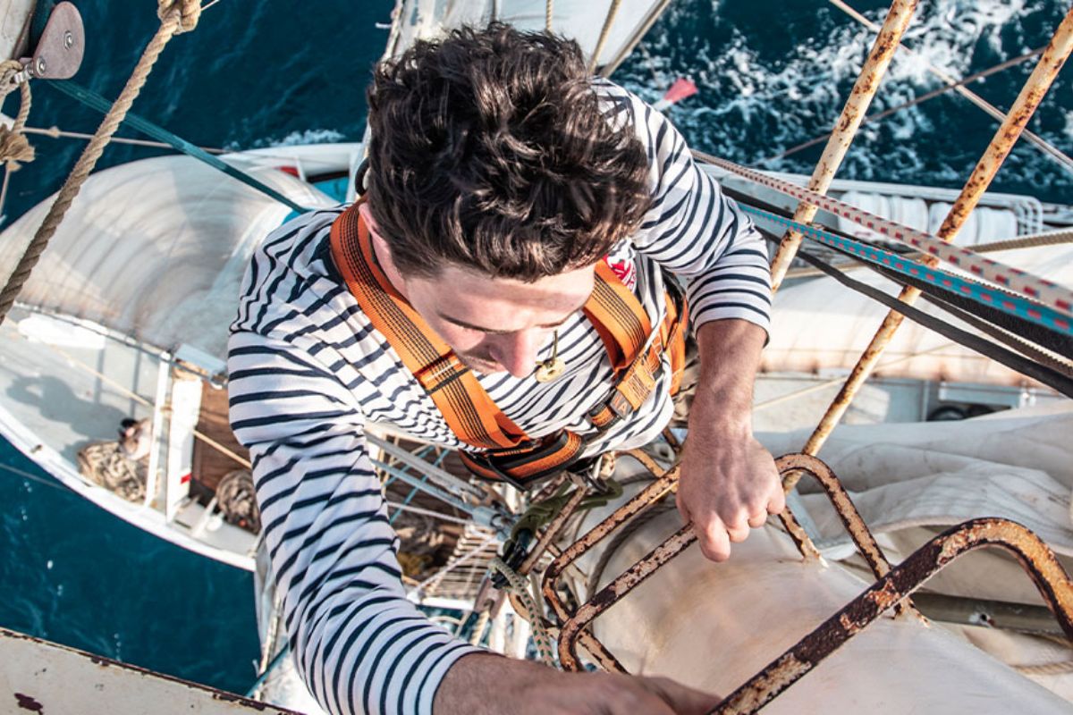 Devenir Marin Wings of the Ocean (3)