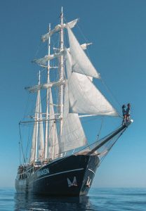 Devenir Marin Wings of the Ocean Kraken