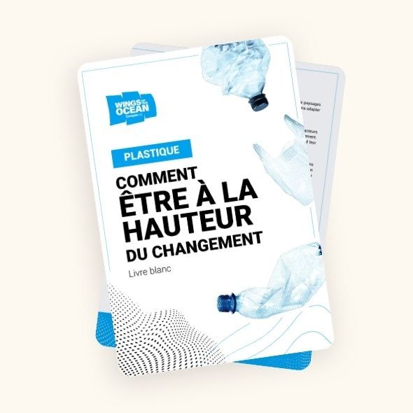 Pollution plastique : Être à la hauteur du changement