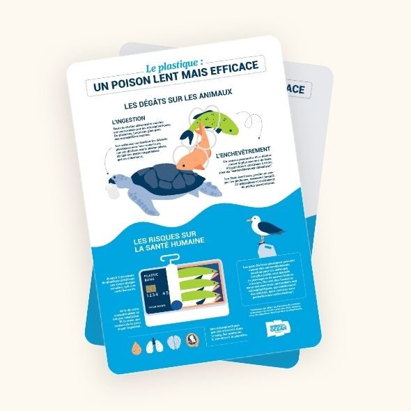 Le plastique : un poison lent mais efficace