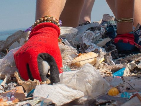 Ramassage post tempête à Le Porge