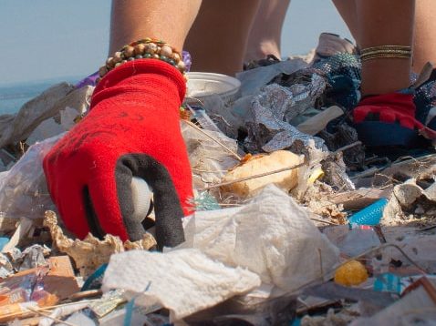 Ramassage au Lège-Cap-Ferret