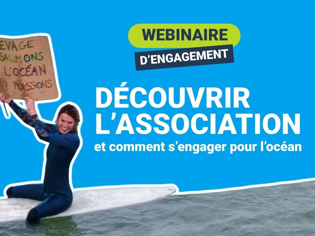 Webinaire – S&rsquo;engager pour l&rsquo;océan