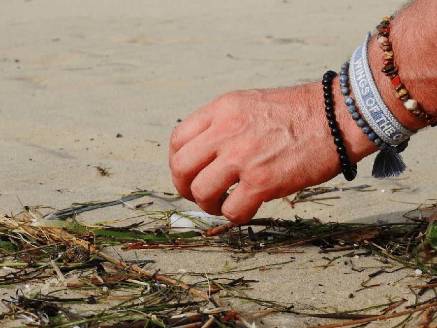 Ramassage de déchets à Lacanau