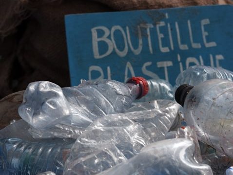 Ramassage de déchets et pique-nique végétarien à Dijon