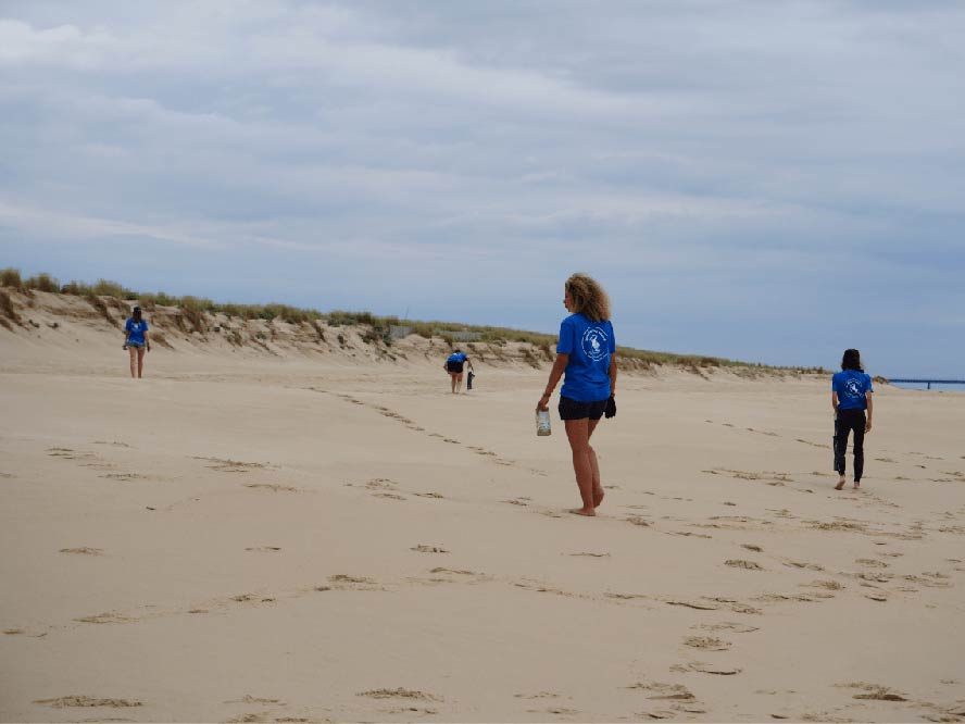 Ramassage à Lège-Cap-Ferret