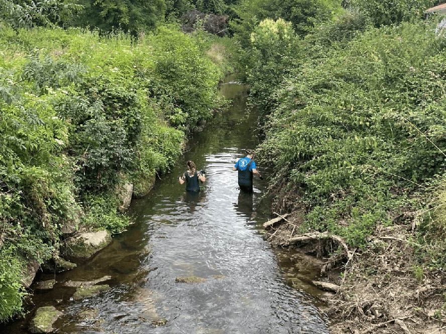Ramassage sur le bassin versant de la Leyre à Belin-Béliet