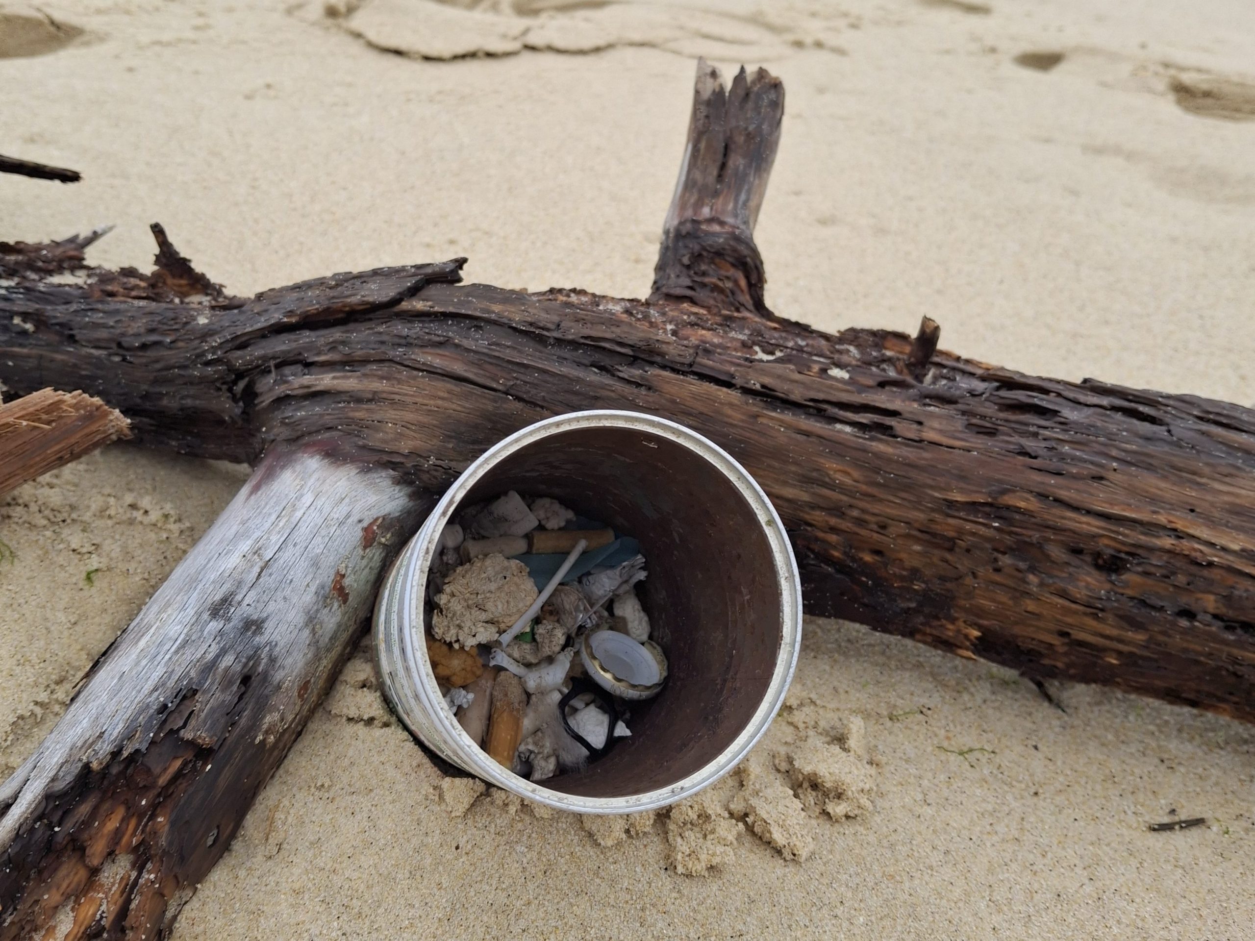 Ramassage de déchets sur la plage de Suzette à Lanton
