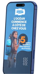 Téléchargez le guides des 5 actions pour protéger l'océan - Wings of the Ocean