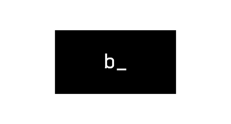 Logo Breaking Web