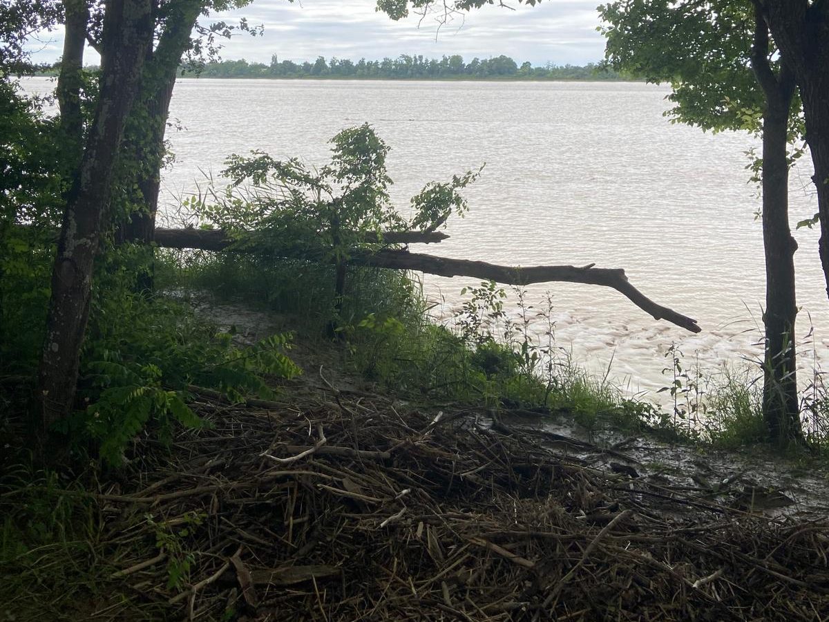 Ramassage de déchets au site de l'Ermitage à Lormont